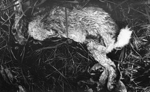 © Marc van Kempen Fotografie